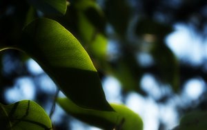 家常菜选购指南：这些调味料你家必需